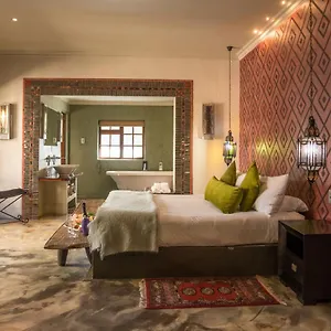 Hotel Singa - Lion Roars &, Port Elizabeth